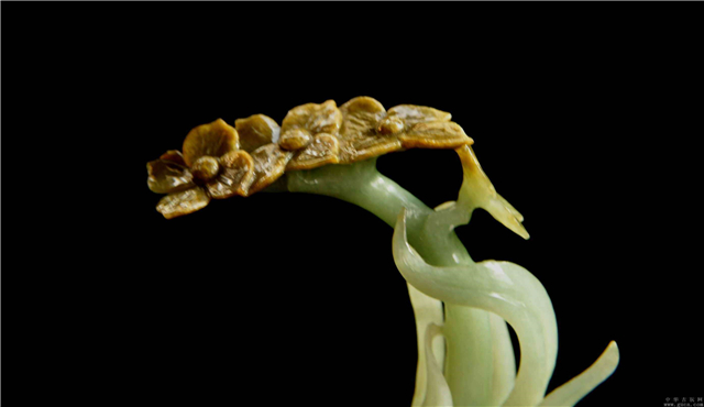 翡翠还是玉好黄龙玉和翡翠哪个好？谁的收藏价值更高一些？   第1张