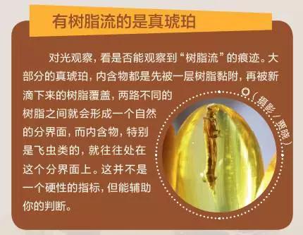 琥珀辨别真伪有绝招，不要被骗！  第3张