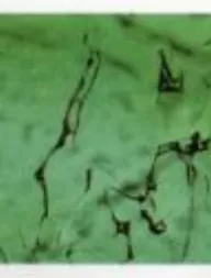 落入人间的彩虹——碧玺  第11张