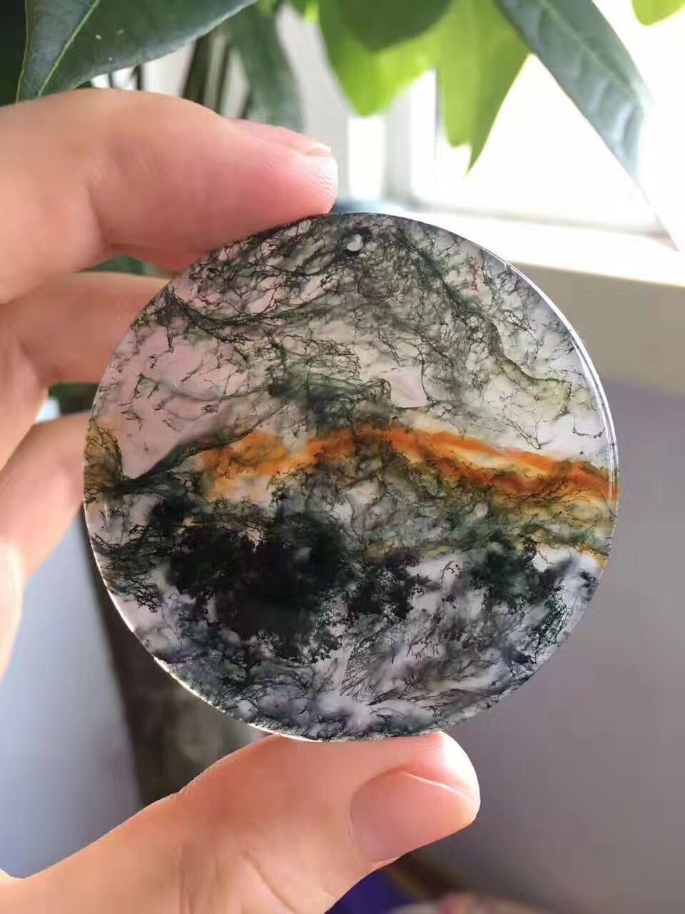 关于水草玛瑙那些不为人知的事  第6张