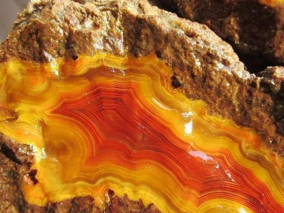 战国红，黄为尊，红为贵  第3张