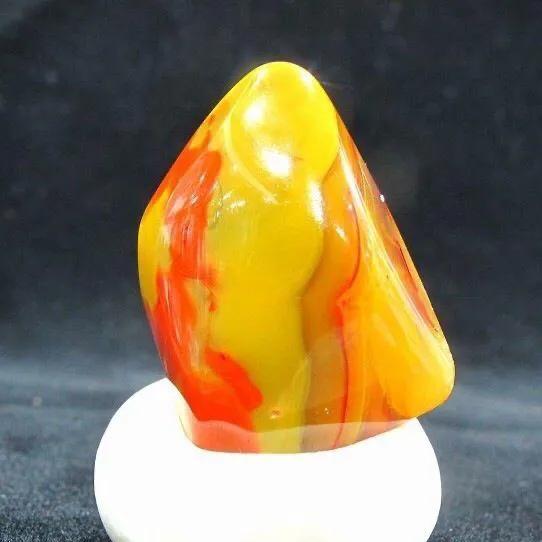 战国红详解  第3张