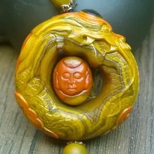 战国红详解  第2张