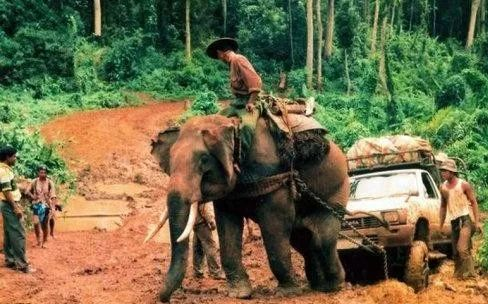 知道翡翠产自缅甸，那翡翠原石是怎么运到中国的呢？   第3张