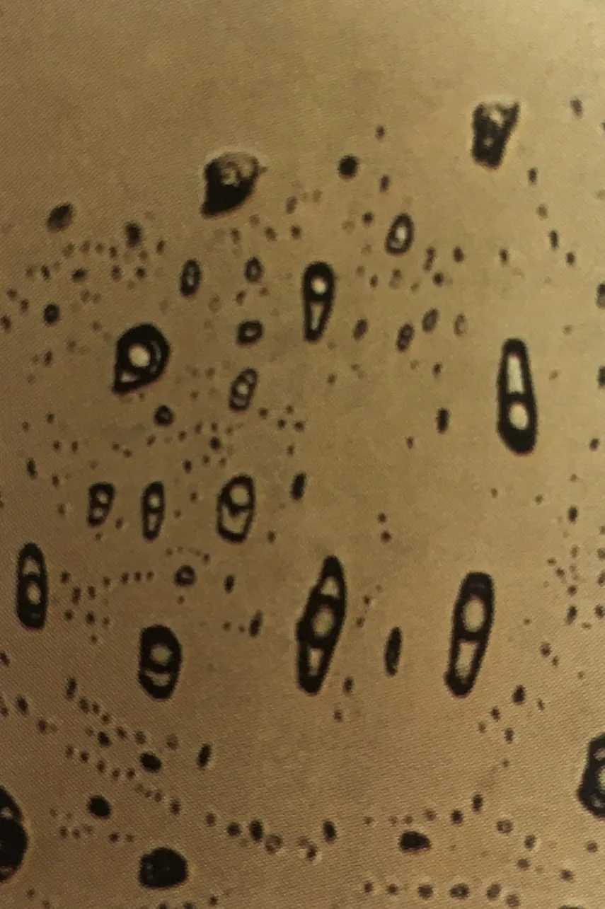 托帕石——“天生丽质”还是“后期整容”？  第9张