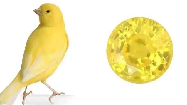 蓝宝石都是蓝色的吗？不，你想要的颜色它都有  第5张