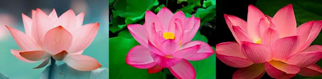 蓝宝石都是蓝色吗？  第24张