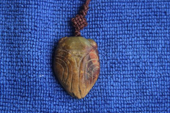 知了吊坠饰品分公母吗   第4张