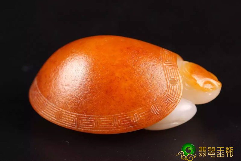 完善的引诱——棕红皮   第7张