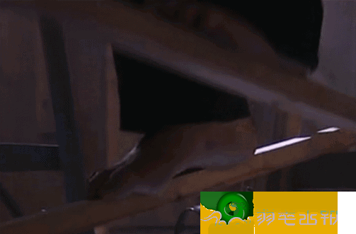 翡翠原石加工手镯工费多少难得一见的玉石雕刻工作人员旧照片   第11张