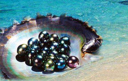 黑珍珠——深不可测的神秘与诱惑  第3张