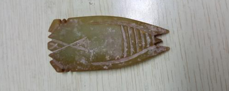 知了吊坠饰品分公母吗   第2张