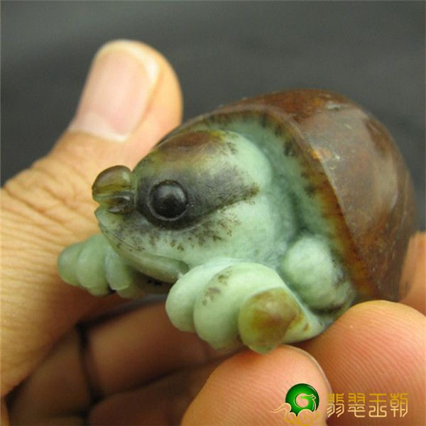 翡翠原石涨价小乌龟为何变成玉石雕刻經典主题之一？   第4张