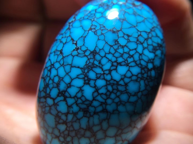 什么是绿松石乌兰花？  第4张