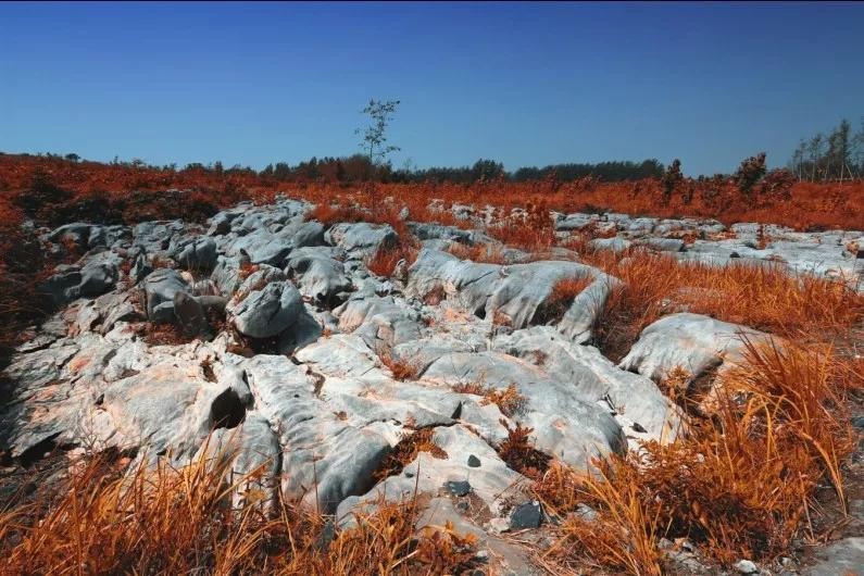 灵璧石的七大产区，你知道几个？  第2张