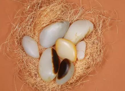 和田玉：外行看白度，内行都看这些……  第16张