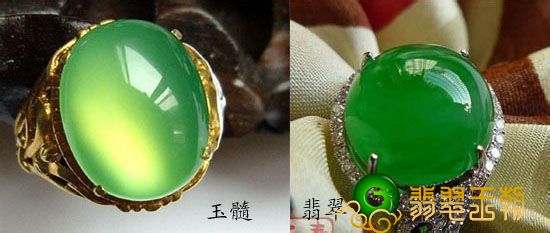 如何区分绿玉髓和翡翠 两者的区别有哪些？   第3张