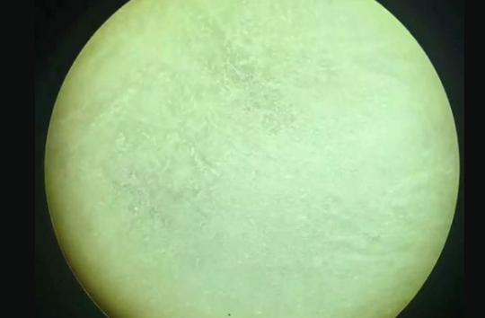 蜜蜡鉴别方法，灯光下蜜蜡真假对照图  第8张