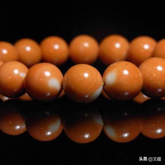 珊瑚，大海深处濒临消失的艺术  第7张