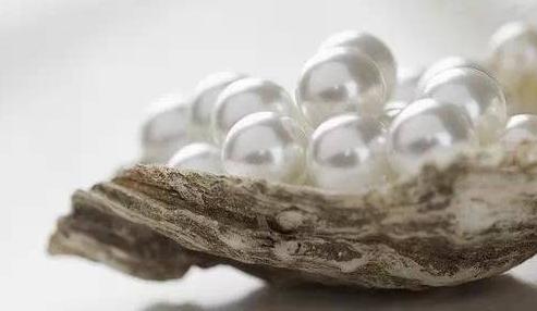 被誉为“珠宝皇后”的珍珠，到底有没有收藏价值？  第4张