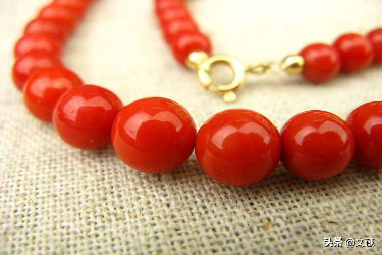 珊瑚，大海深处濒临消失的艺术  第4张