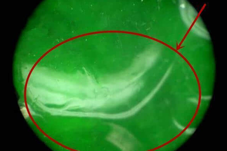 绿玛瑙和真翡翠的区别  第5张