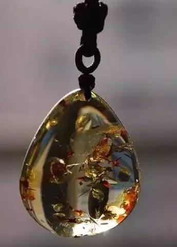 莫弯基种翡翠原石图片原来琥珀是这么形成的  第3张