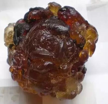 莫弯基种翡翠原石图片原来琥珀是这么形成的  第7张