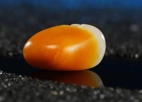 和田玉之——万种皮色！  第5张