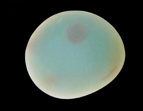 翡翠镯子碎了怎么修复醉赏雨花蛋白石  第13张