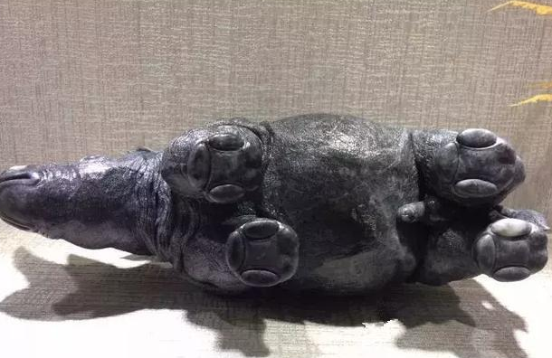 春彩翡翠黑冰原石切垮成乌鸡种翡翠：玉雕师妙手回春，最后成品价值飙升  第5张