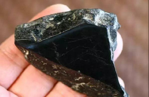 从默默无闻到稀缺贵族，这种“黑石头”成功逆袭  第3张