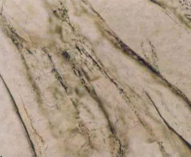 从默默无闻到稀缺贵族，这种“黑石头”成功逆袭  第5张