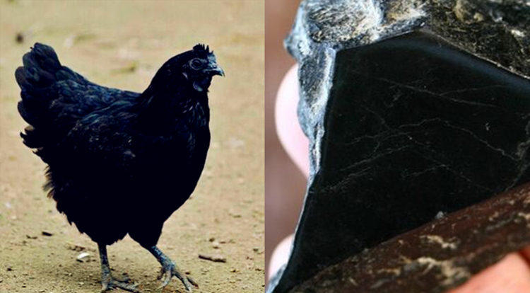 黑色翡翠“乌鸡种”公盘逆袭，是炒作还是黑马？  第2张