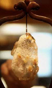 冯志文雕刻翡翠精品（图）  第1张