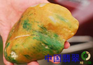 2011年中国翡翠会员翡翠原石交流与鉴赏组图二  第3张