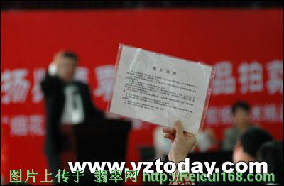 翡翠貔貅镶嵌图扬州国宝拍出1350万天价(组图)  第2张