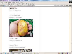 冰糯种翡翠老手镯价格岳工语录蹿红网络 赝品玉石纷纷杯具  第3张