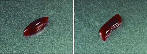 豆青种翡翠手镯图片红珊瑚成为市场追逐热点  第2张