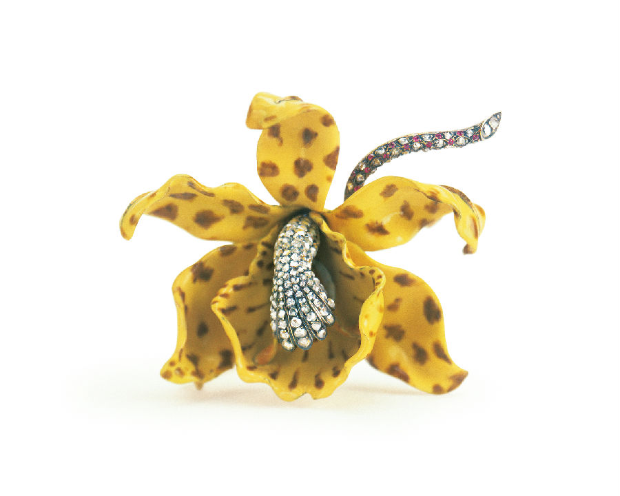 蒂芙尼风格盛典，礼赞美之自然  第35张