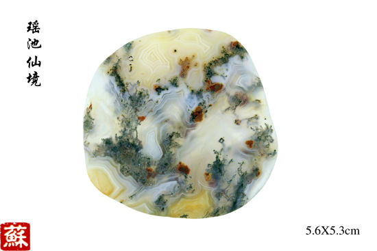 南京一民间收藏达人开雨花石图片展  第2张