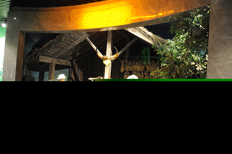 a货三色翡翠手镯价格瑞丽珠宝翡翠博物馆即将开放  第13张