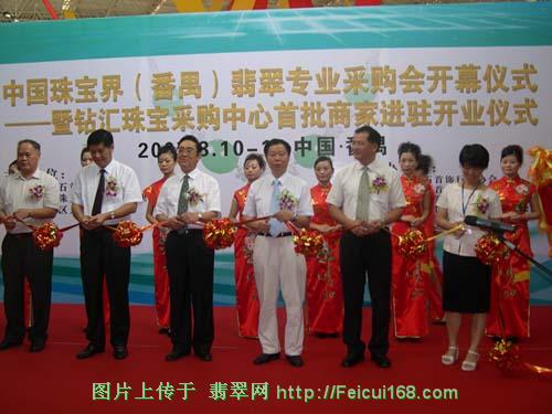 翡翠原石灯光辨别番禺珠宝产业综合服务平台迈向国际化[组图]  第2张