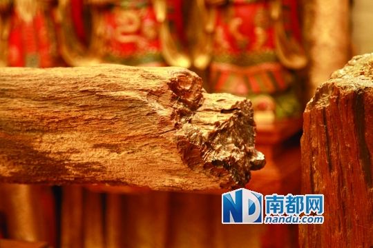 3000元买个翡翠戒指玉石收藏家陈旭：伴石而生(图)  第3张