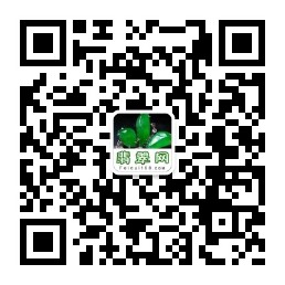 王朝阳系列演讲第二期活动预告  第2张