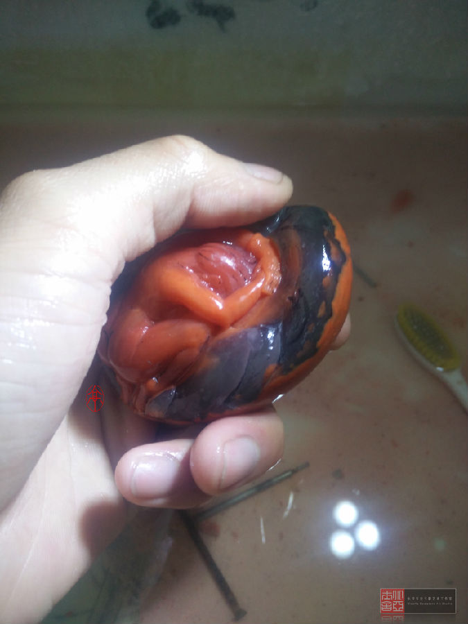 【小亚玉舍】作品跟踪--含苞欲放  第5张