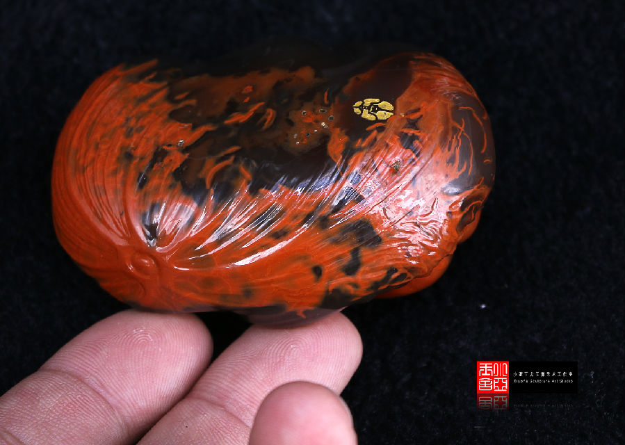 【小亚玉舍】作品跟踪--含苞欲放  第12张