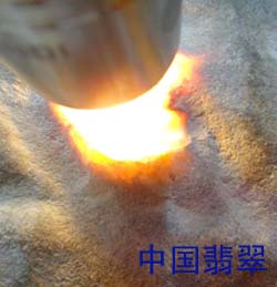 2011年中国翡翠会员翡翠原石交流与鉴赏组图一  第4张