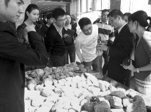 南京兴起赌石热：玉器行老总拒绝玩赌石  第2张