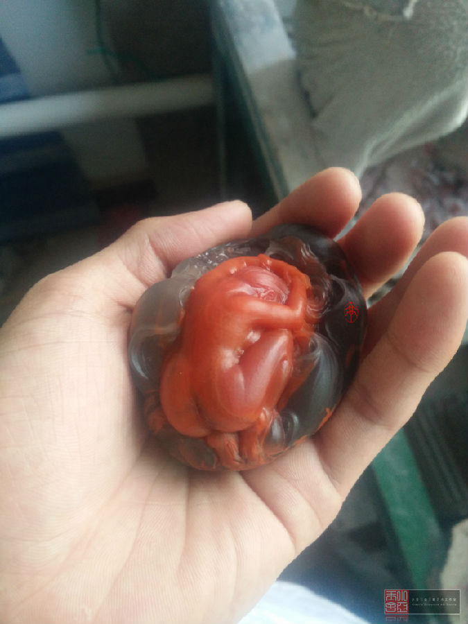 【小亚玉舍】作品跟踪--含苞欲放  第11张